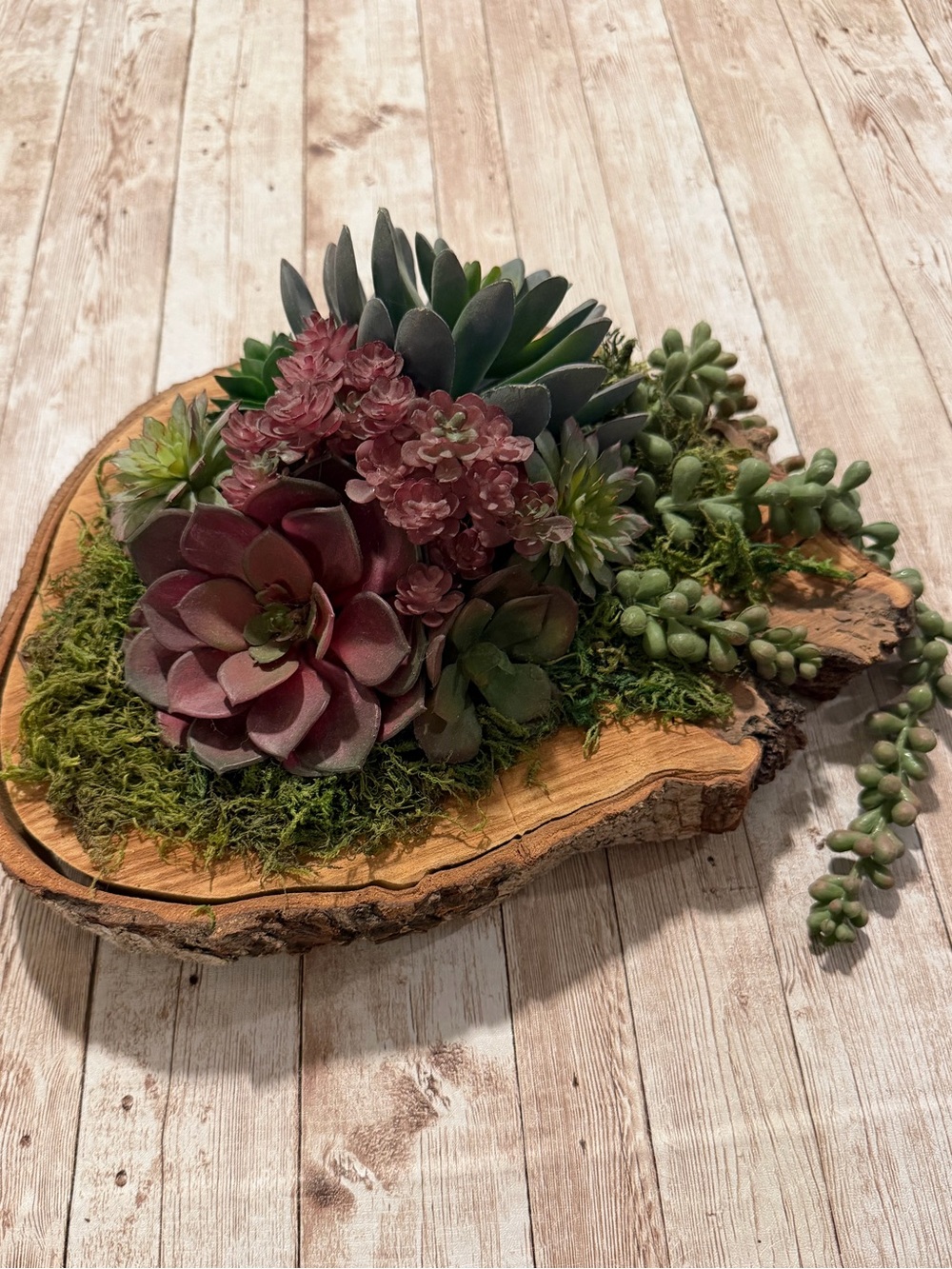Faux Succulent Centerpiece in Green and Burgundy - Picture 2 of 5